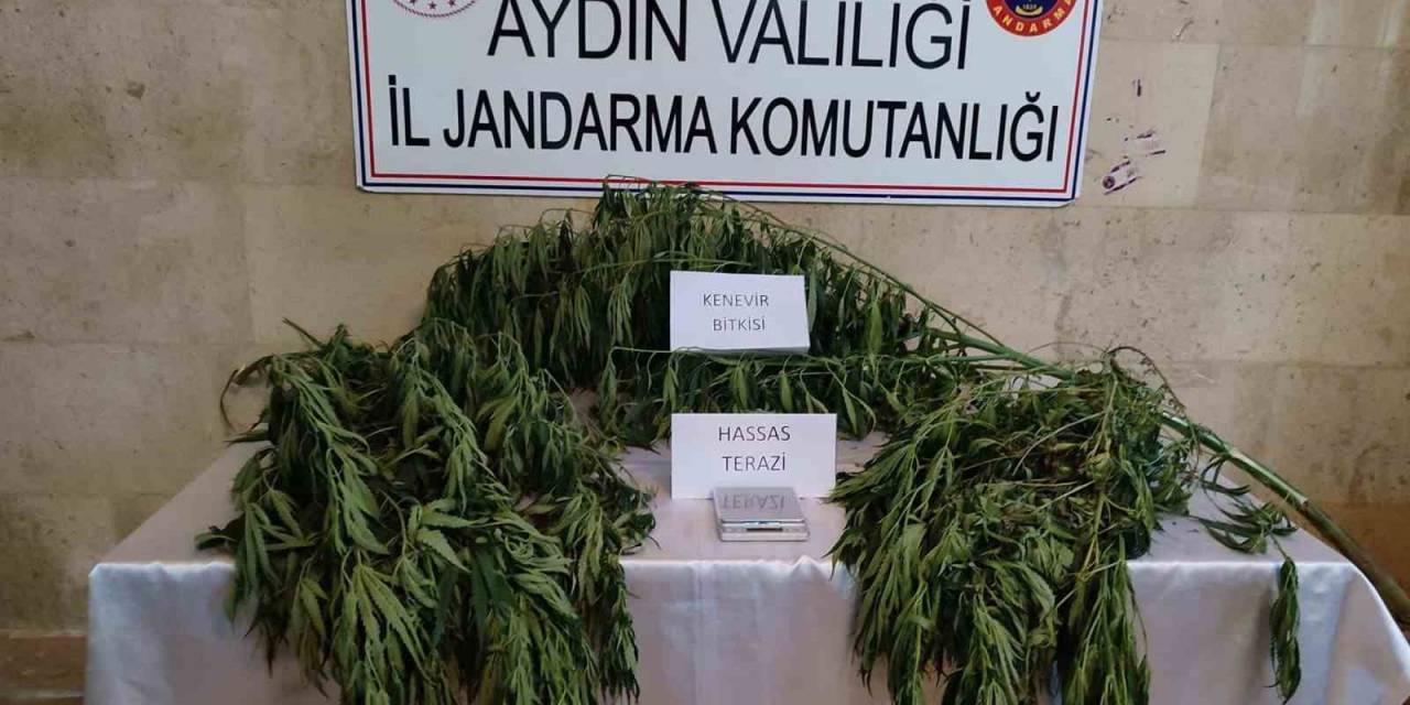 Aydın’da Uyuşturucu Operasyonu: 1 Gözaltı