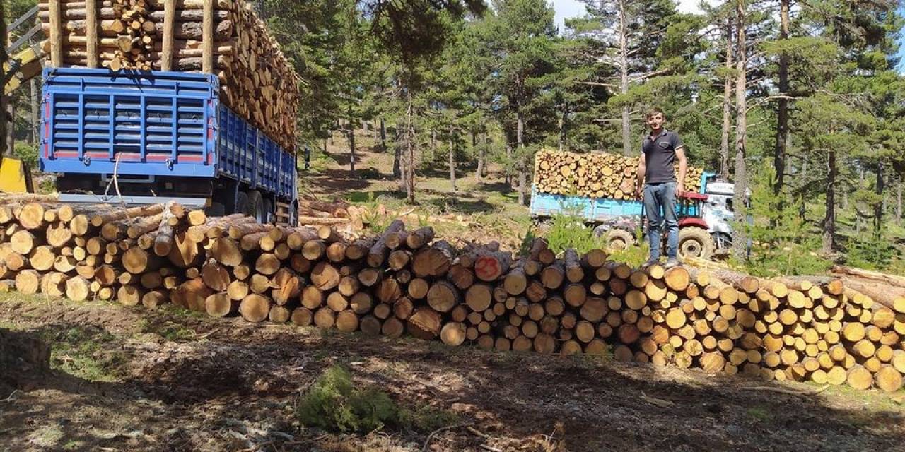 Tomruk Taşıyan Kamyon Devrildi, Sürücüsü Hayatını Kaybetti