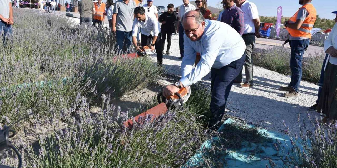 Konya’da 2. Karapınar Lavanta Festivali Düzenlendi