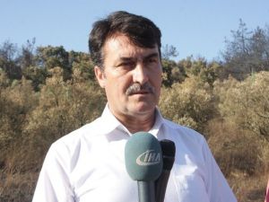 Köylüler Yanan Ormanlara Dikilen Fıstık Çamlarından Para Kazanacak