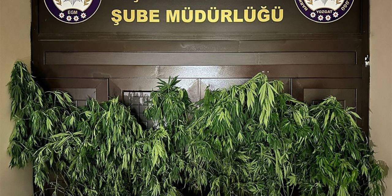 Yozgat’ta Evinde Uyuşturucu İmal Eden Şüpheli Tutuklandı