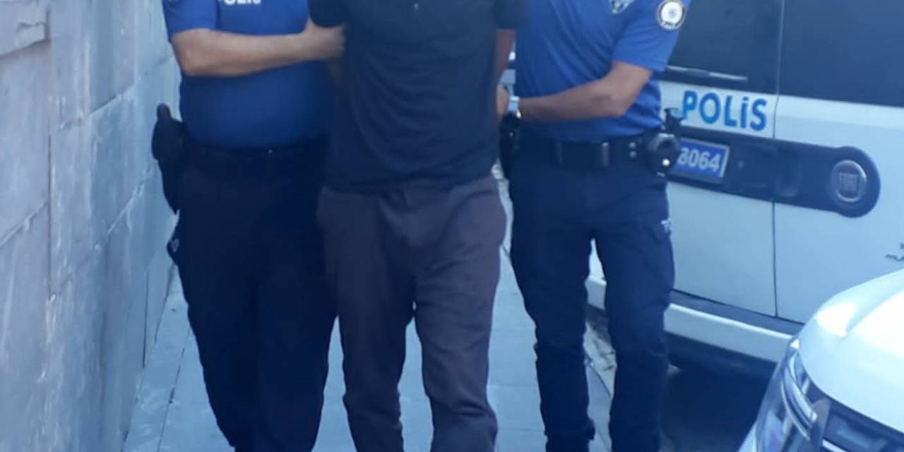 Kedileri Bıçaklayarak Öldüren Şahıs Tutuklandı