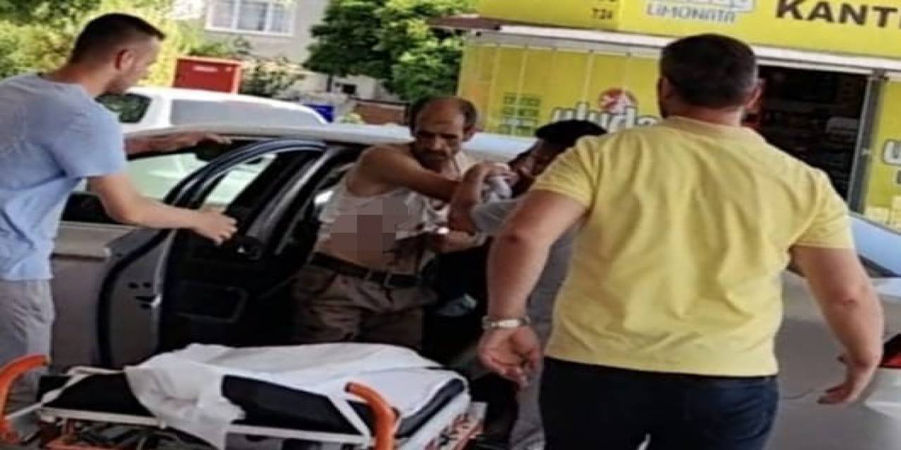 Ağaç Keserken Dal Koluna Saplandı