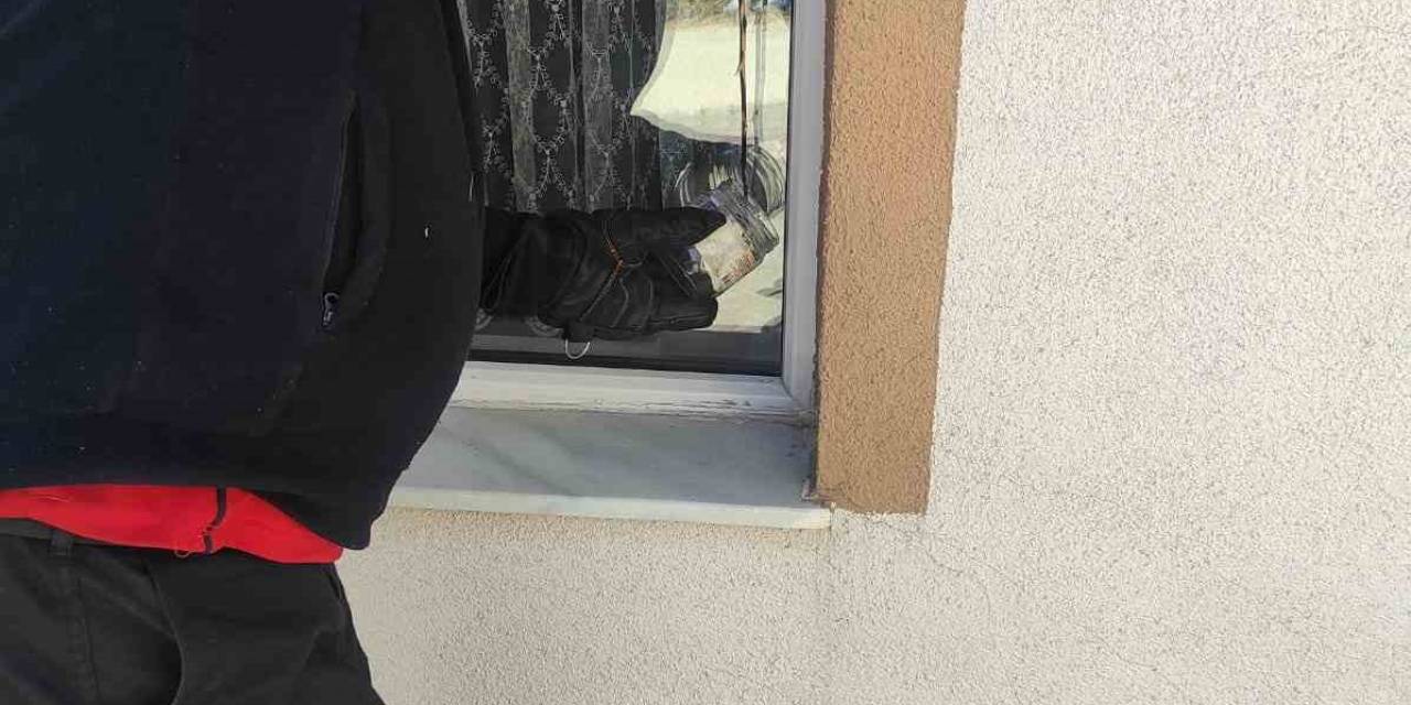 Bozüyük’te ’insan Yüzlü Örümcek’ Görüldü