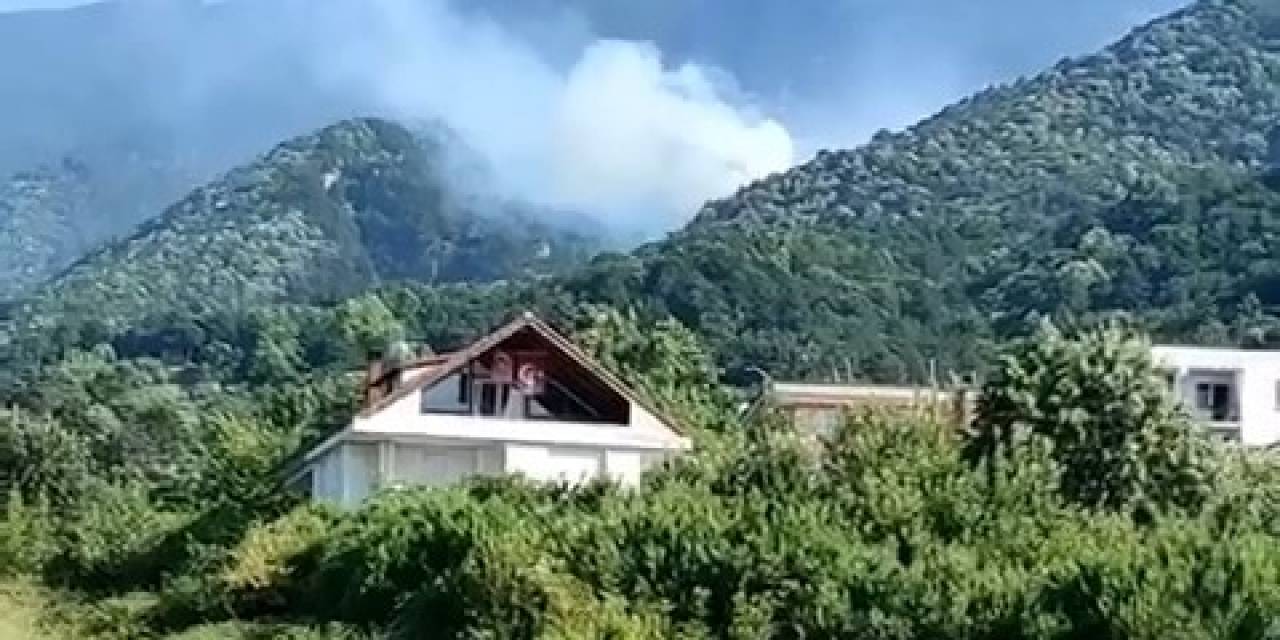 Uludağ’ın Eteklerinde Orman Yangını