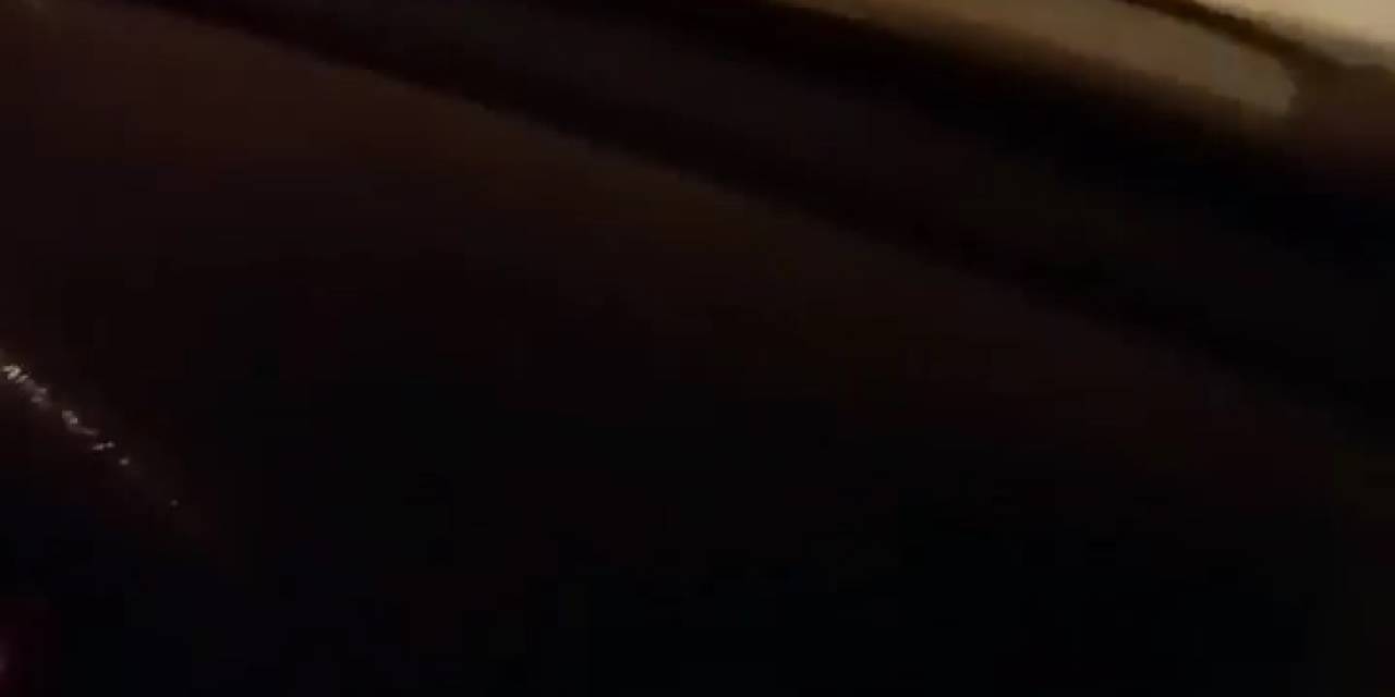 Ayı Otomobilin Önüne Atladı, İçindekilerin Yüreği Ağzına Geldi