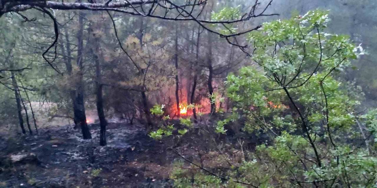 Osmaneli’nde Çıkan Orman Yangını Kontrol Altına Alındı