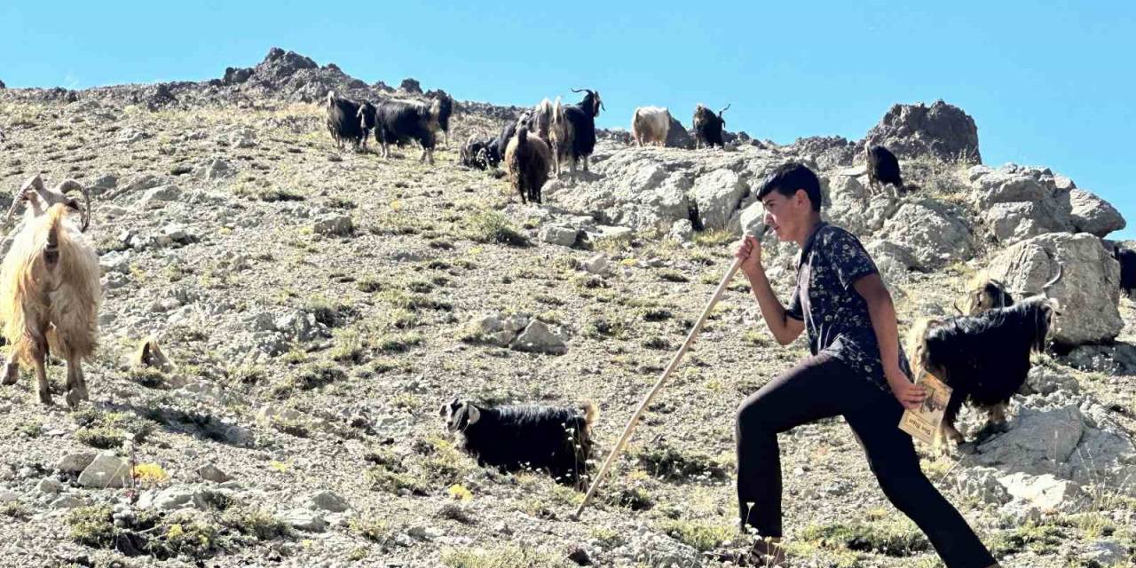 Yaylada Çobanlık Yapan Muhammet, Lgs’de Türkiye İkincisi Oldu