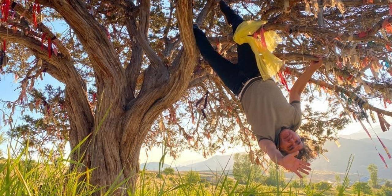 Profesörden Orman Yangınlarına Karşı İlginç Eylem: Dilek Ağacına Çaput Yerine Kendini Bağladı