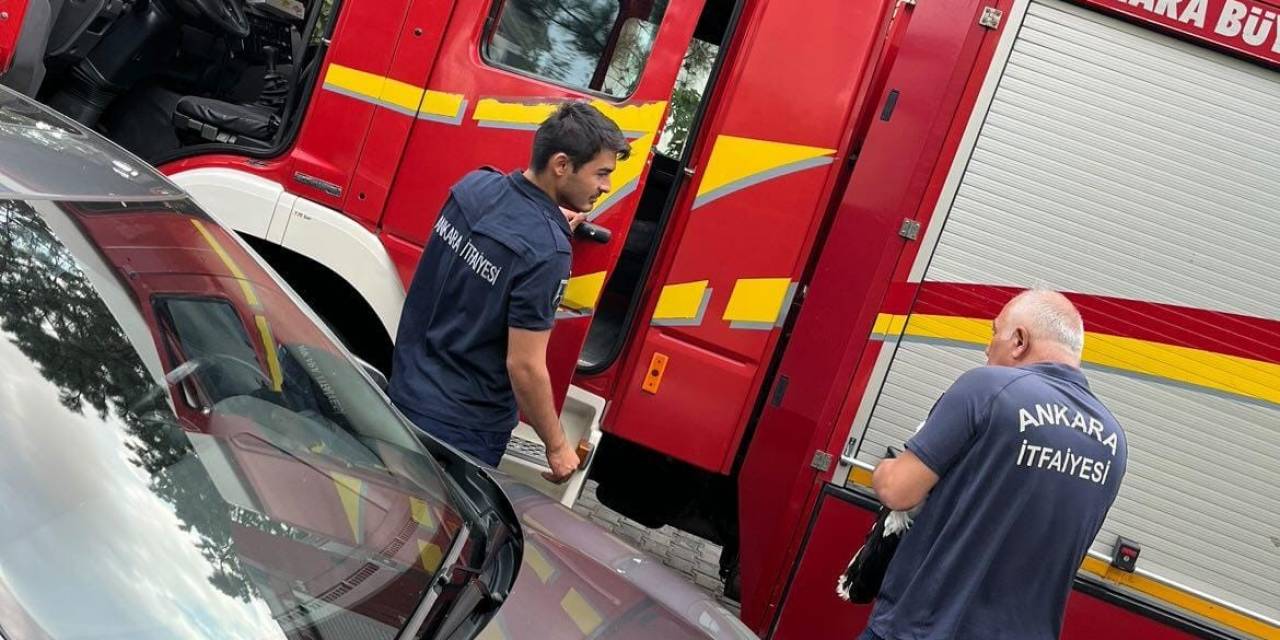 Cami Kubbesine Sıkışan Leyleği İtfaiye Ekipleri Kurtardı