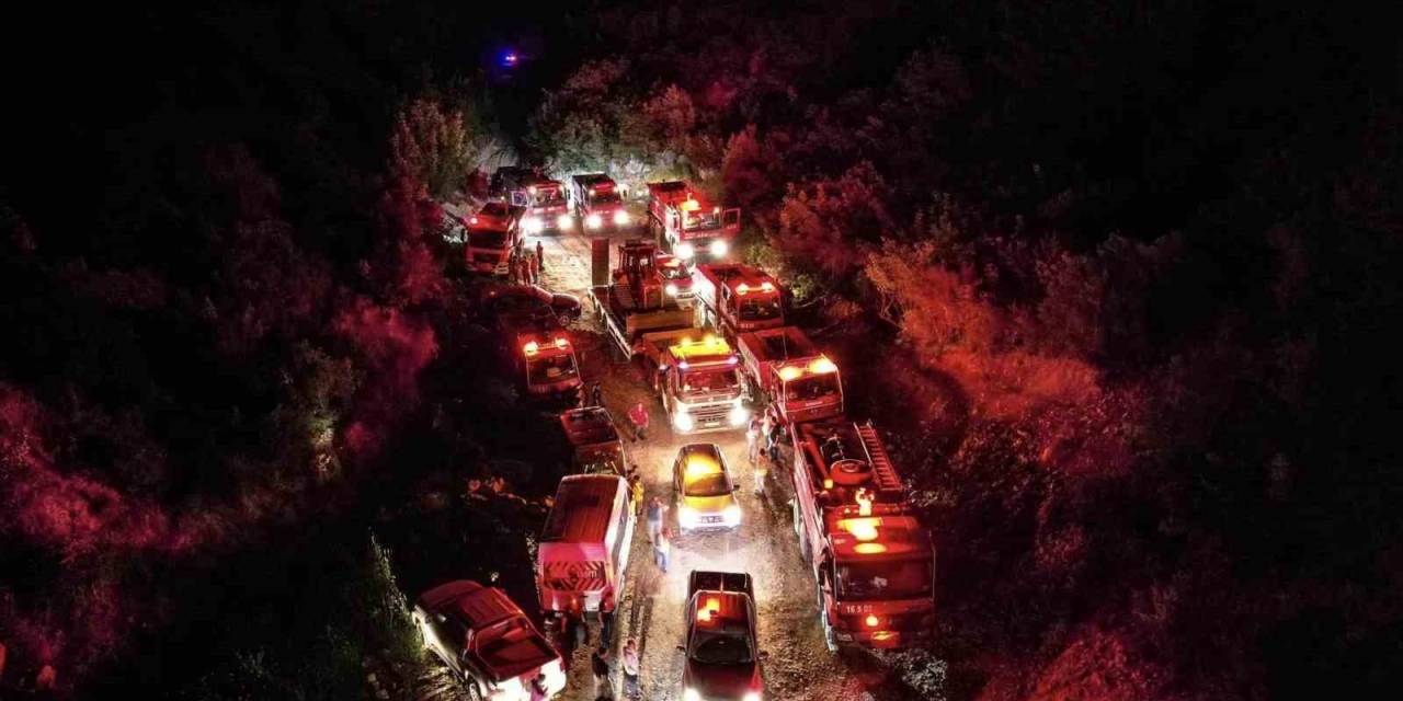 Bilecik’te Aynı Anda 6 Noktada Çıkan Orman Yangınında 1 Hektar Alan Kül Oldu