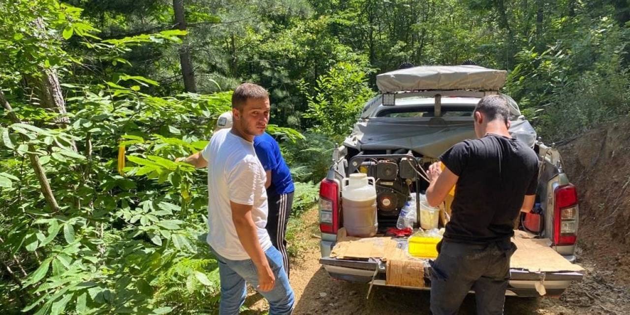 Kestane Ormanlarına Kurulan 4 Bin Yapışkanlı Tuzak İle Gal Arısıyla Mücadele Sürüyor