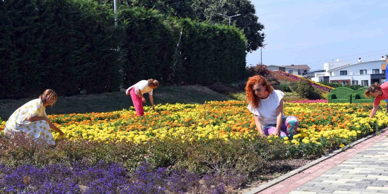 Macera Bursa, Rengarenk Çiçeklerle Donatıldı
