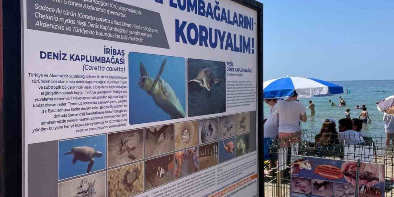 Kuşadası Belediyesi’nden Caretta Caretta Yuvaları İçin Bir Önlem Daha