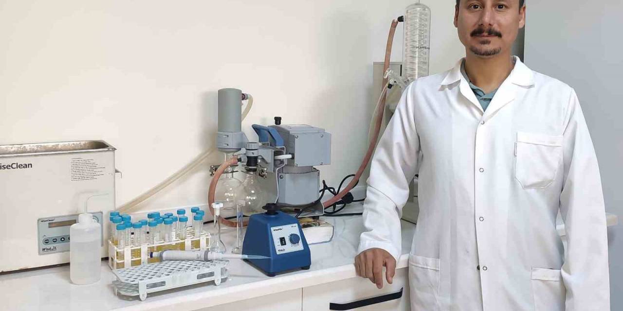 Kmü’lü Akademisyen Danışmanlığında Hamam Böcekleri İle Mücadele Mekanizmaları Araştırılacak