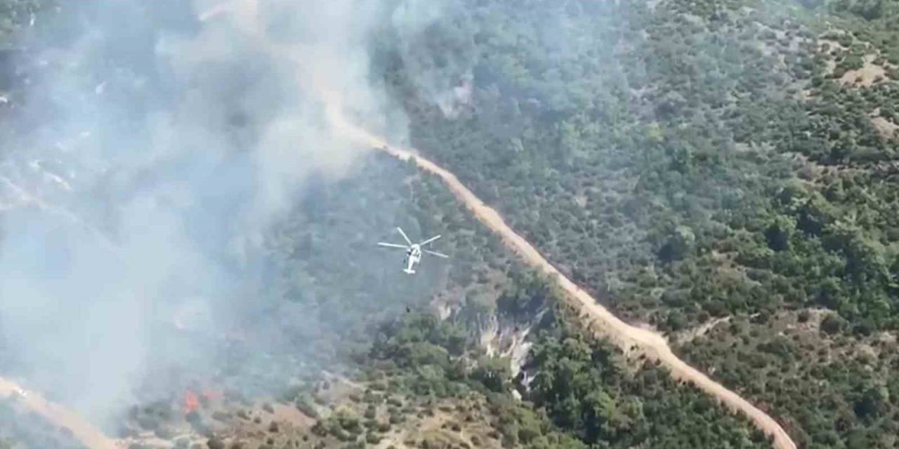 Manisa’da Orman Yangını