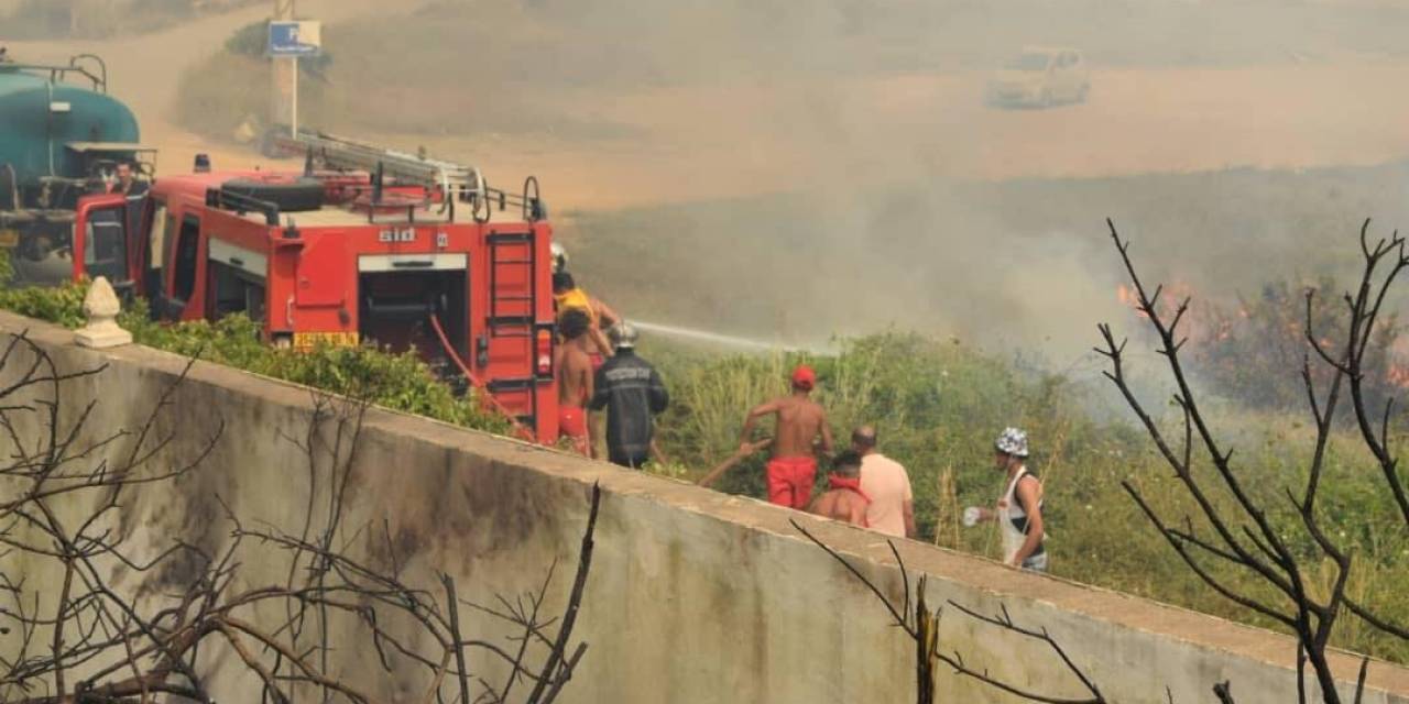 Cezayir’de Orman Yangını: 15 Ölü