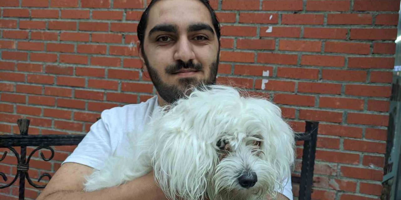 Köpeğini Kaza Sonucu Veteriner Hekime Götüren Gencin Hastane İsyanı