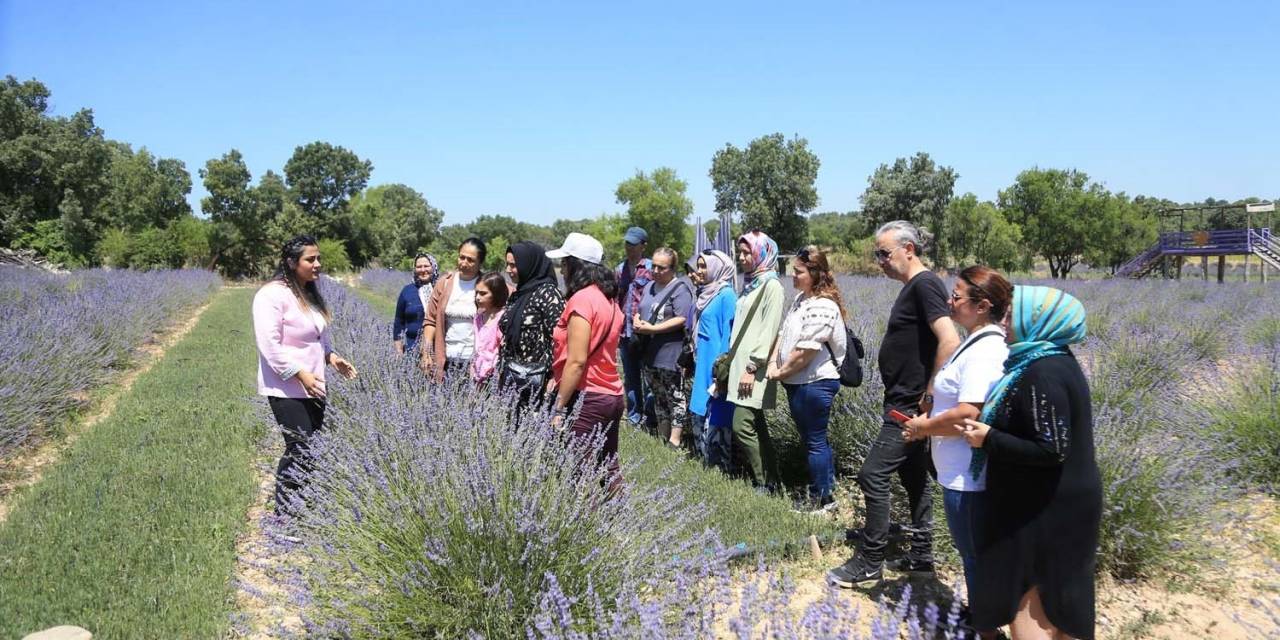 Pamukkaleli Kursiyerlerden Tıbbi Ve Aromatik Bitki Yetiştiriciliğine Yoğun İlgi