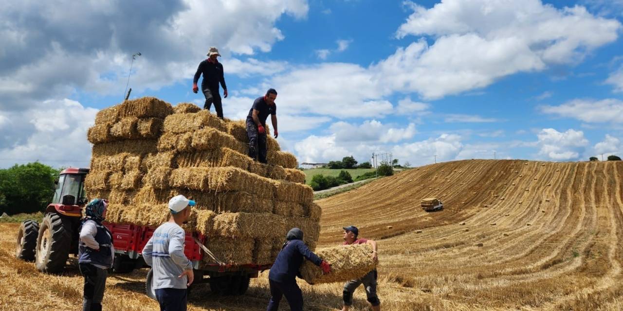 Buğday Tarlasından Elde Edilen Balyalar Üreticilere Verilecek