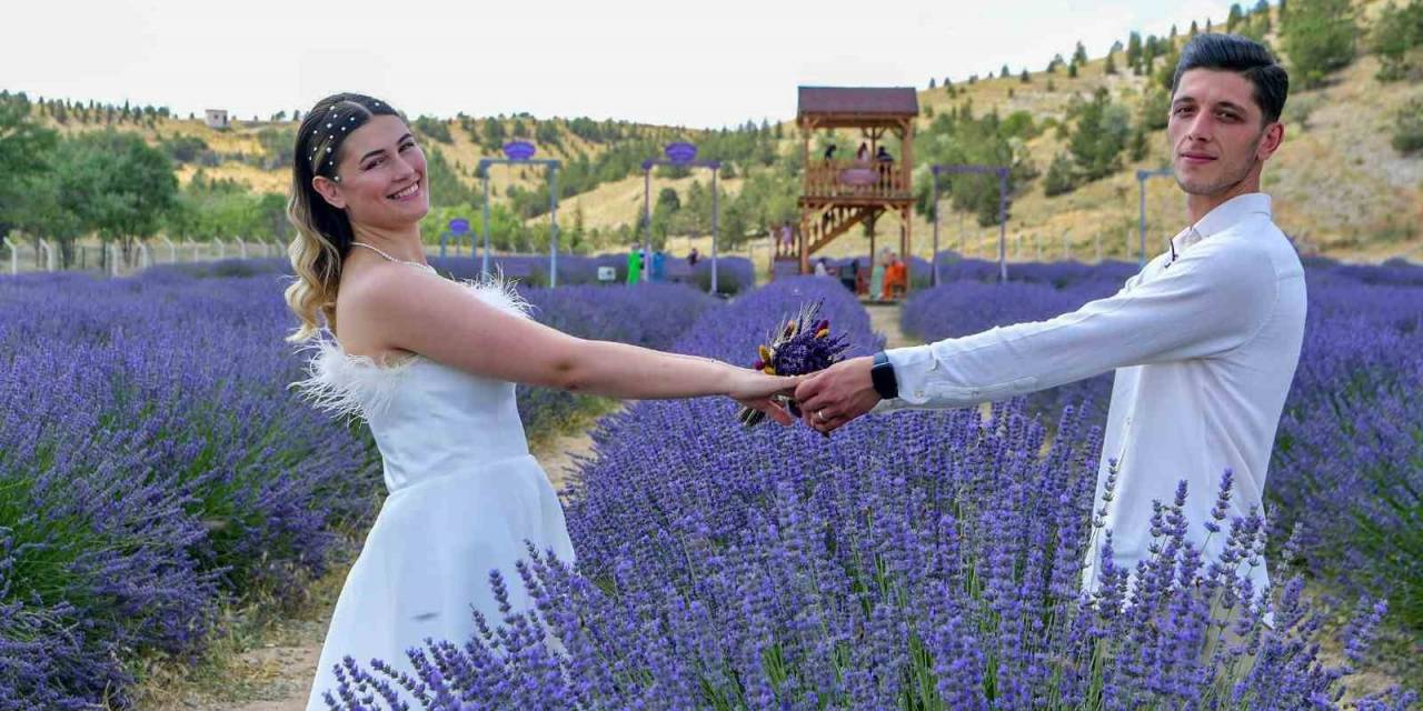 Ankara’nın En Büyük Lavanta Bahçesi Mamak’ta