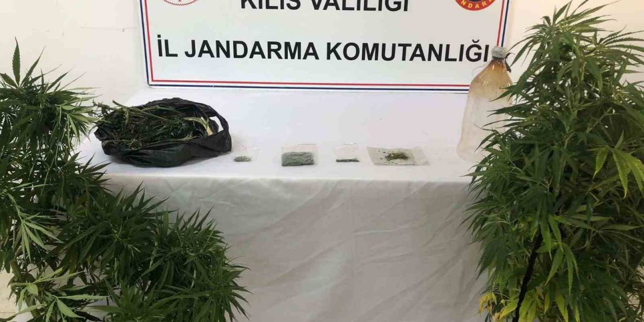 Yasa Dışı Esrar Yetiştiren Şahsın Evine Jandarmadan Operasyon: 2 Gözaltı