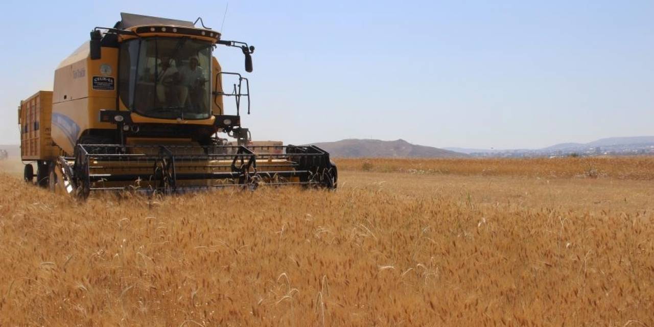 Hububatta Biçerdöver İle Hasat İşlemleri Sürüyor