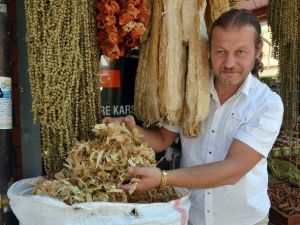 Ihlamur Fiyatı Yüzde 250 Arttı