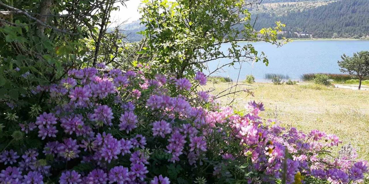 Türkiye Sıcaktan Kavruluyor, Bolu En Soğuk İl Oldu