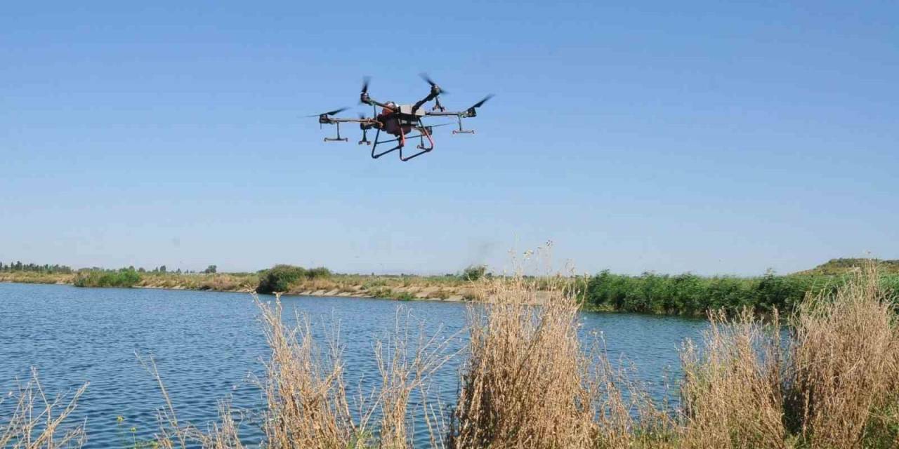 Akşehir’de Kronomid Sineğine Dron İle Mücadele