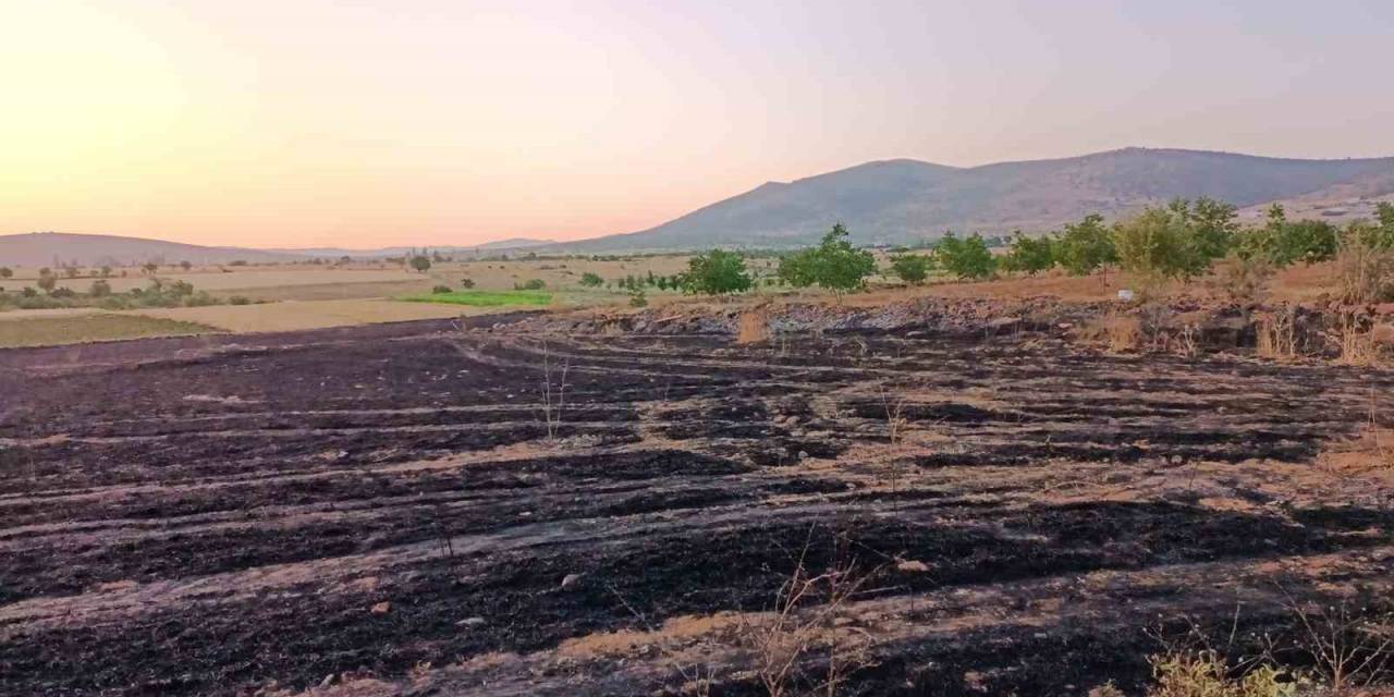 Hüyük’te Arpa Ekili Arazi Alevlere Teslim Oldu