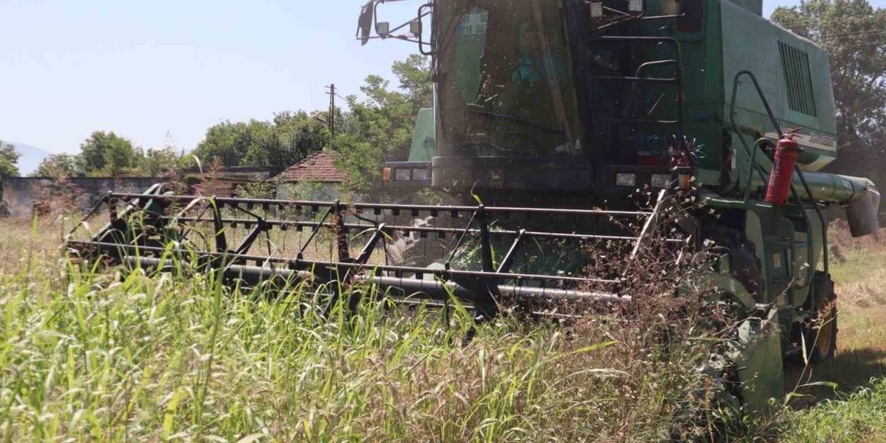 Beltur Üretiyor, İşliyor Ve Kullanıyor