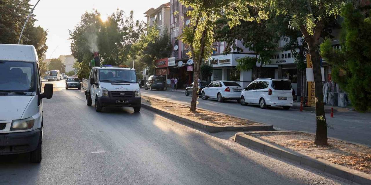 Uşak Belediyesinin İlaçlama Çalışmaları Devam Ediyor