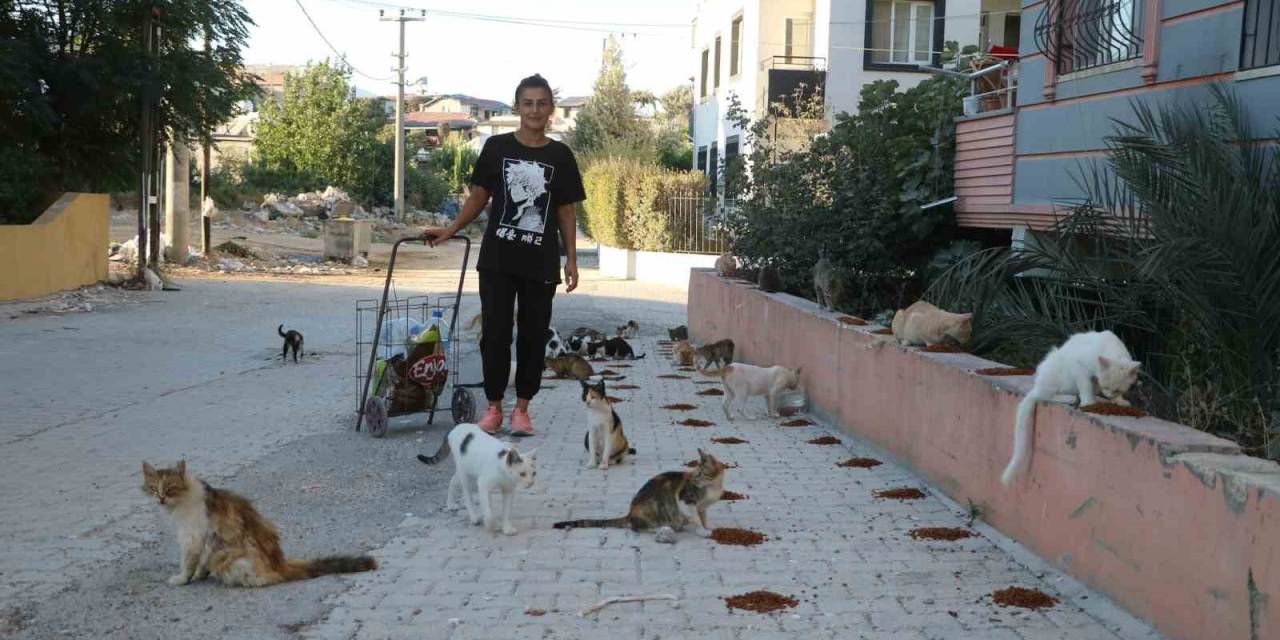 Enkaz Kentin Kedilerinin Gürcü Annesi