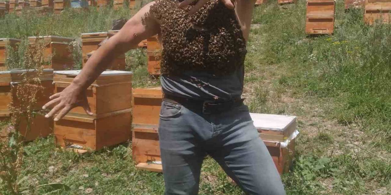 Karslı Arıcıdan ‘yok Artık’ Dedirten Görüntüler