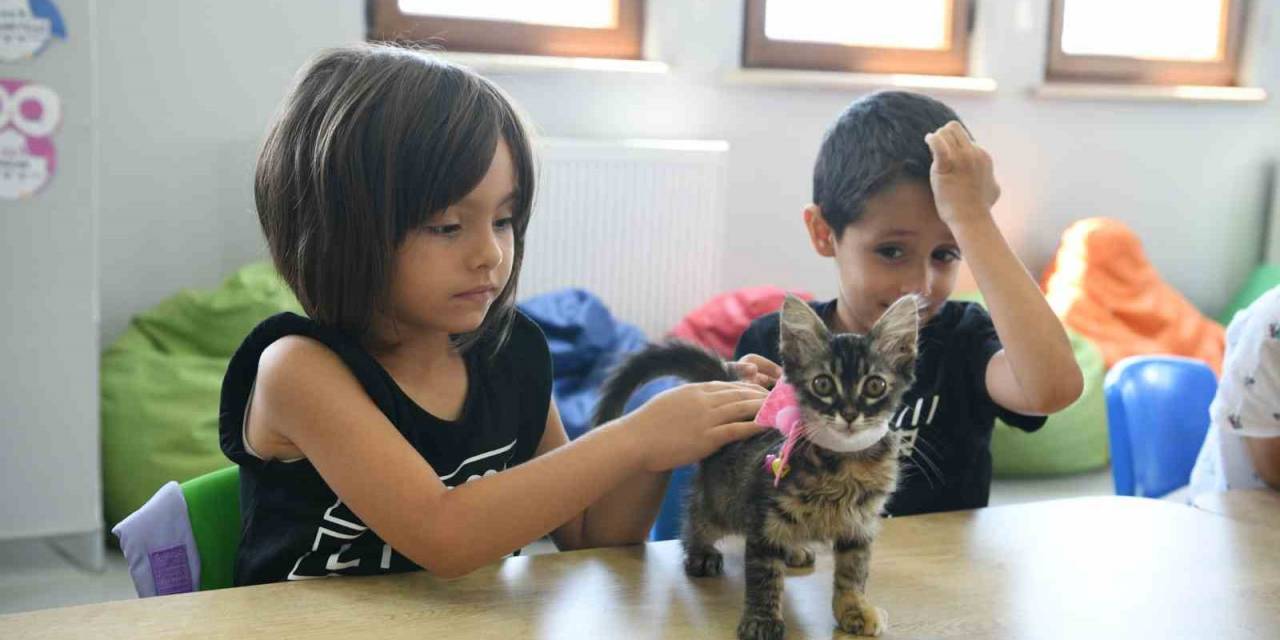 Kahve’nin Yavrularını Bilgi Evleri Sahiplendi