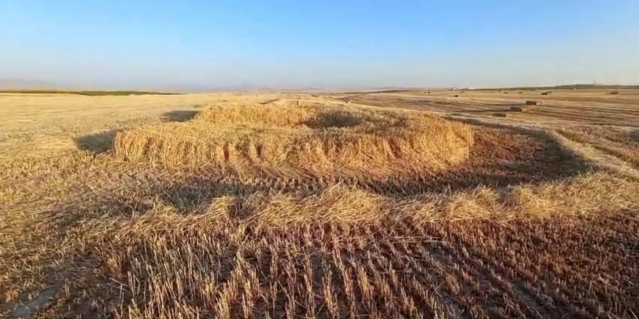 Hasat Yapılacak Ekili Arazide Oluşan Obruk Korkuttu