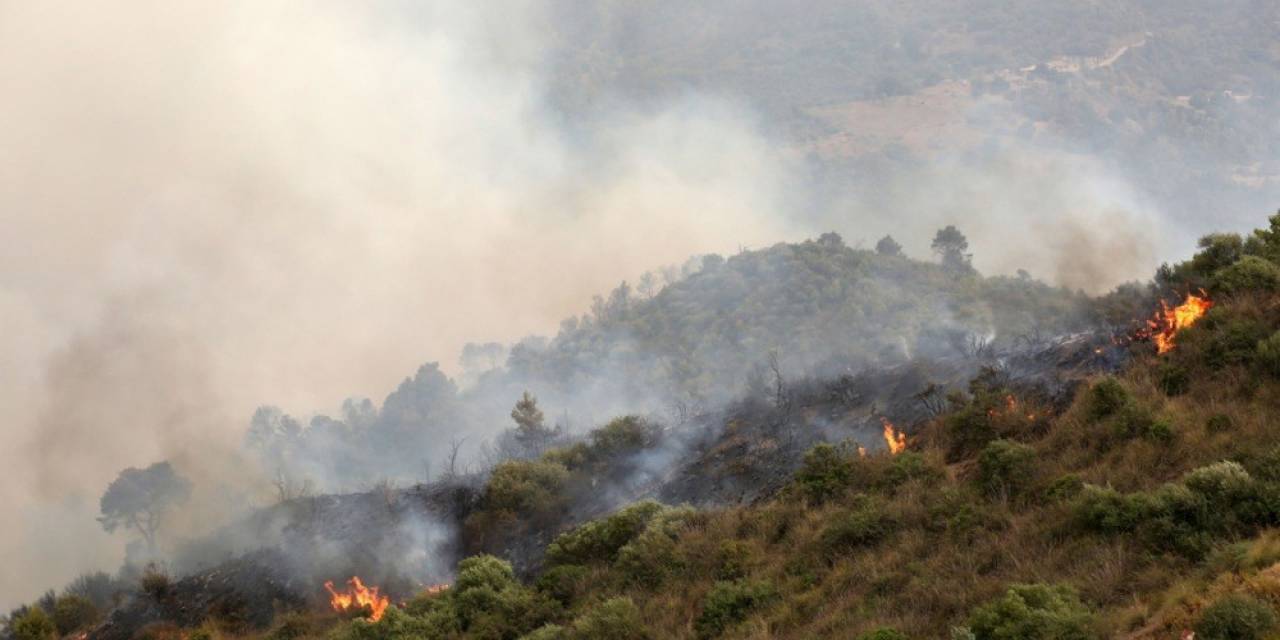 Akdeniz’deki Orman Yangınlarında En Az 40 Kişi Hayatını Kaybetti