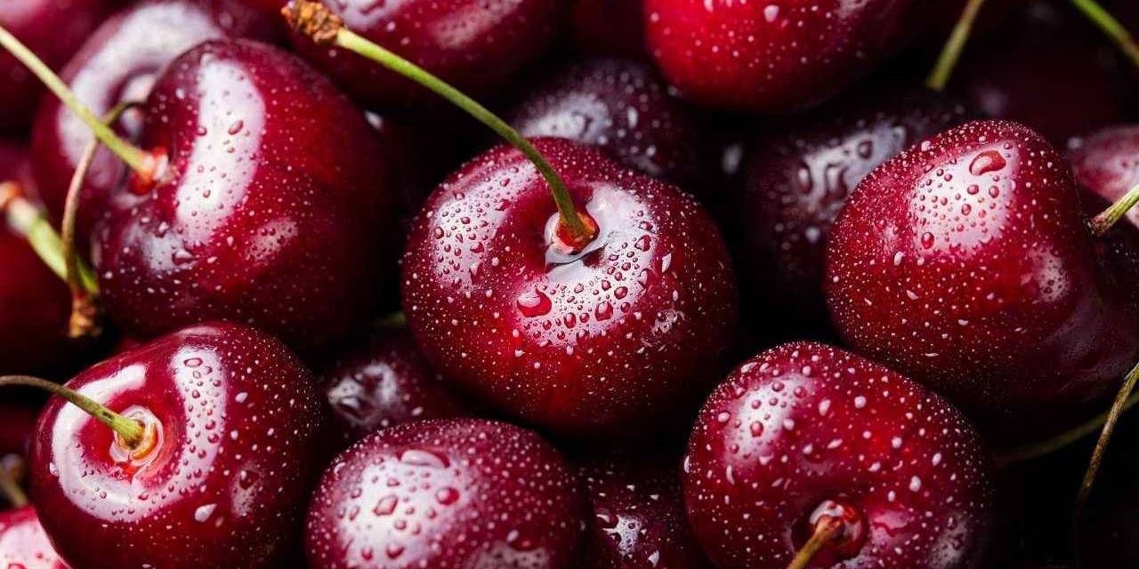 Keles Kirazı Da Artık Tescilli