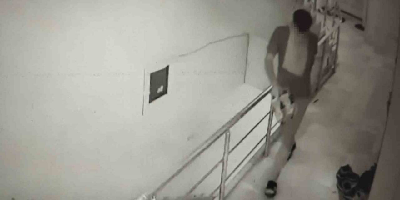 Nusaybin’de Ayakkabı Ve Telefon Hırsızları Güvenlik Kamerasına Yansıdı