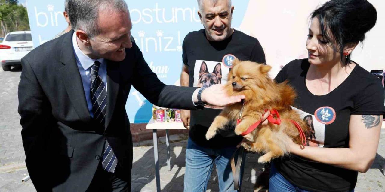 İnegöl Belediyesi 6 Ayda 2 Bin 700 Hayvana Şifa Oldu