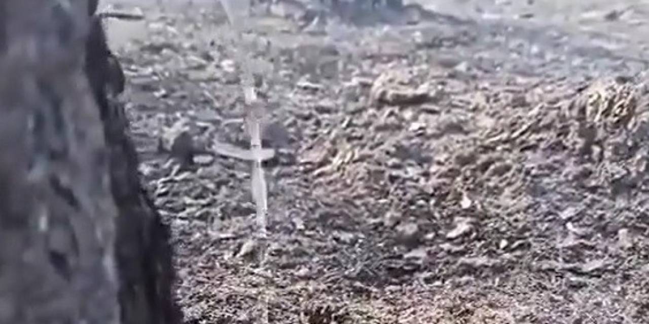 Orman İşçisi, Yangının Ardından Bitkin Düşen Kertenkeleyi Su İle Serinletti