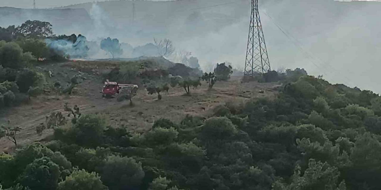 Aliağa’da Makilik Alanda Yangın