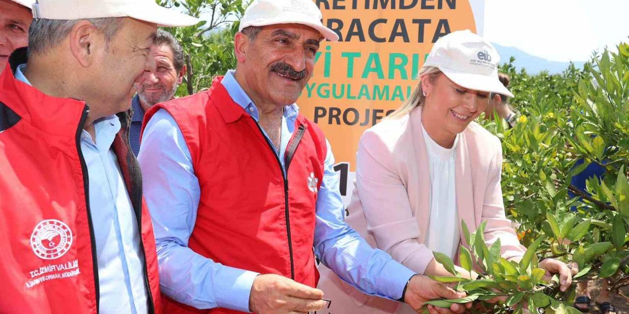 2023 Yılı Narenciye İhracatında Hedef 1 Milyar Doları Aşmak