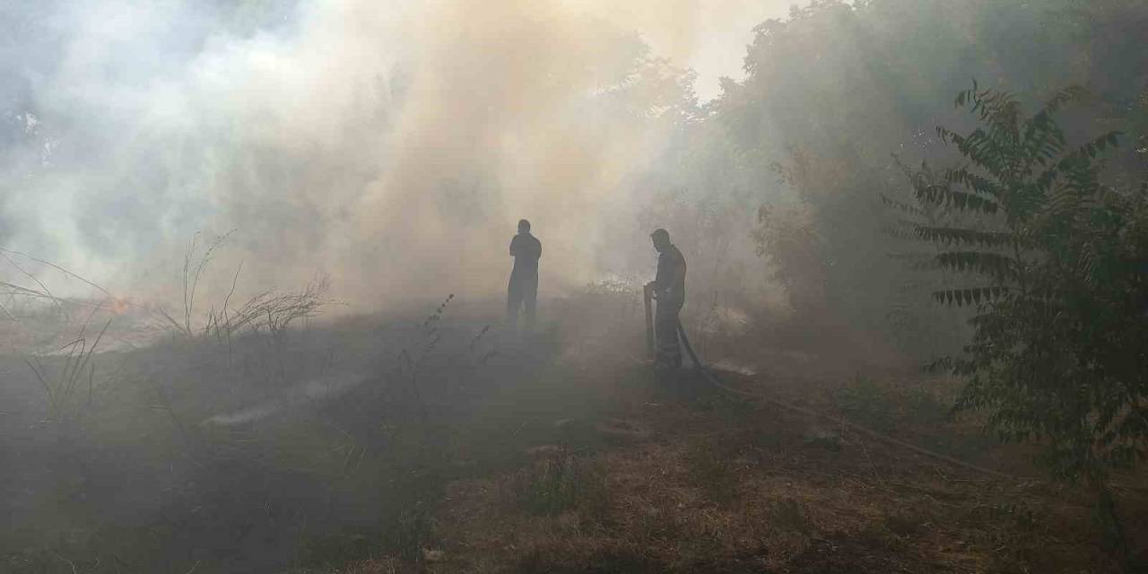 Edirne’de Çıkan Yangınlar Güçlükle Söndürüldü