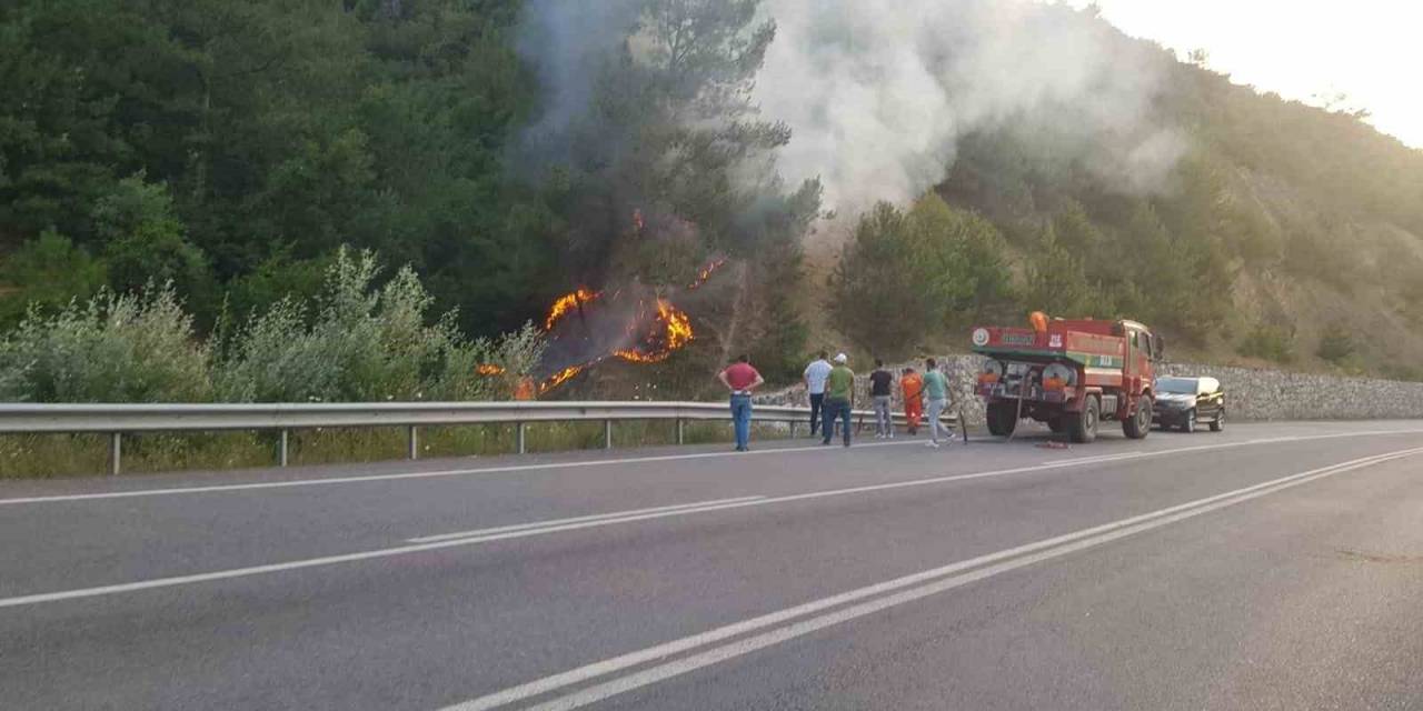 Sakarya’da Orman Yangını