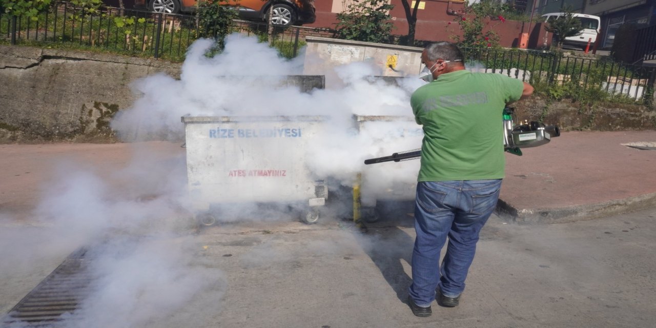 Rize'de sivrisineklere karşı etkin mücadele yapılıyor