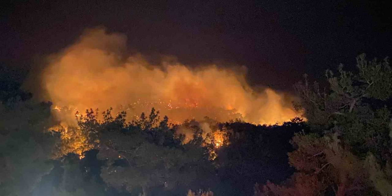 Çanakkale’de Orman Yangını