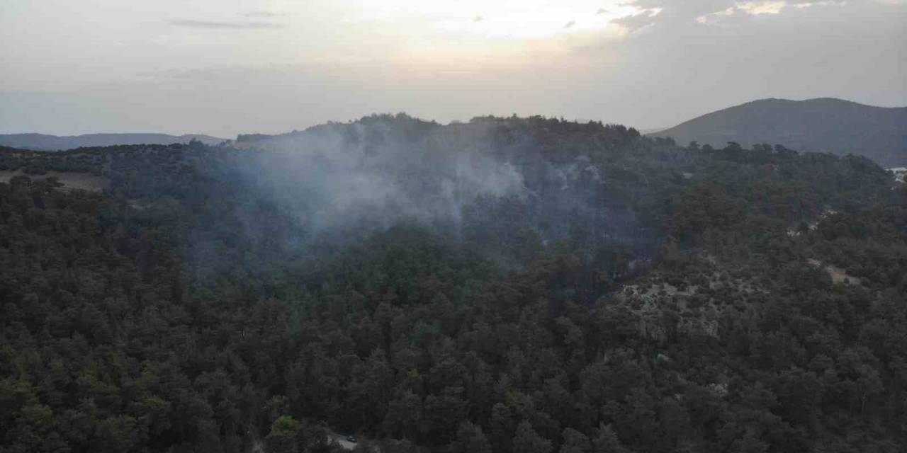 Çanakkale’deki Orman Yangınına Günün İlk Işıklarıyla Hava Müdahalesi Başladı
