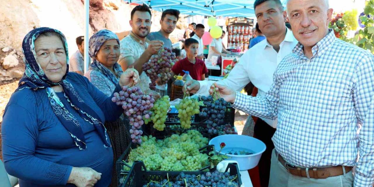 Akdeniz Belediyesi, Esenli Üzüm Şenliğine Hazır